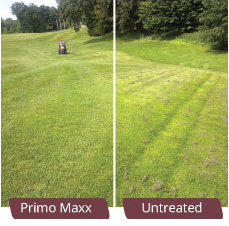 Primo Maxx before and after treatment